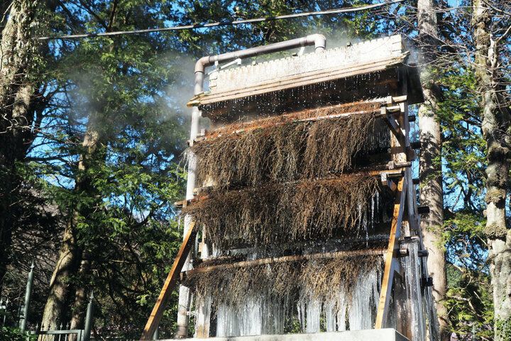 アート鑑賞後に庭園散策や足湯カフェでのんびりと♪ 箱根の森で安らぎのひとときを過ごせる「岡田美術館」