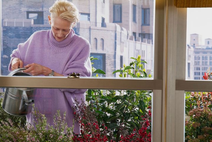 滝藤賢一「生き方の真髄を問われているよう」安楽死を望む女性と彼女に寄り添う親友の“最期の数日間”描く物語を賞賛