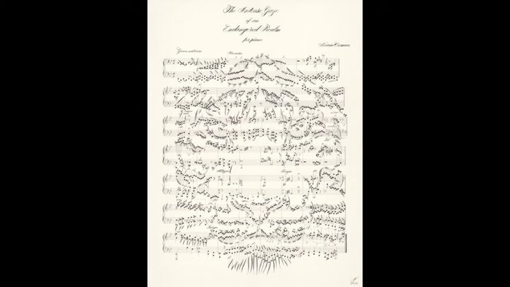 トラ顔の楽譜が野生のトラを助ける、売上2万ドルを支援団体に寄付するプロジェクト