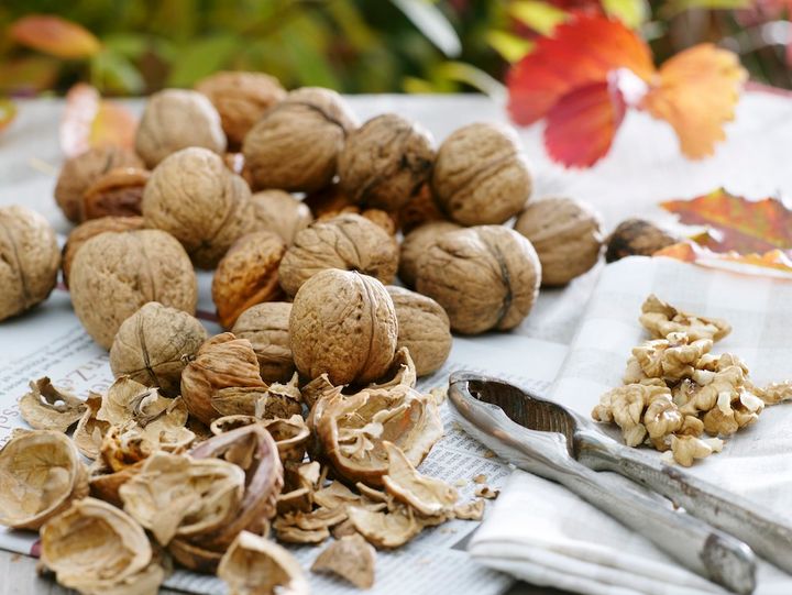 クルミの殻むき
