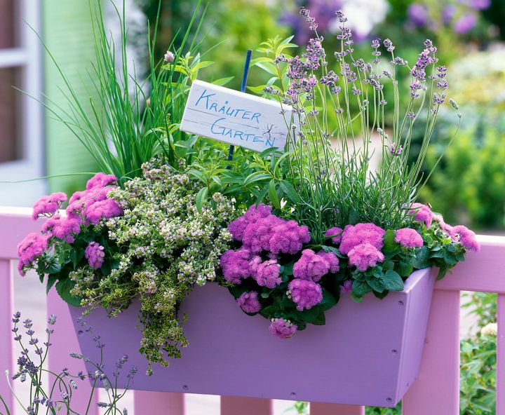 ウィンドウボックス