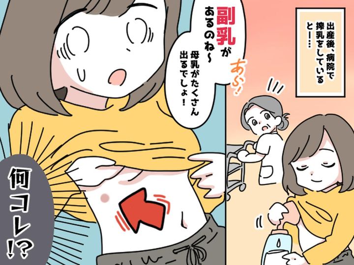 画像: えっ、乳首が8つ！？ 30年間ずっと気が付かなかった『私の体に隠れていたもの』の正体とは？