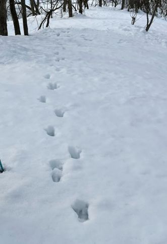 画像の代替テキスト