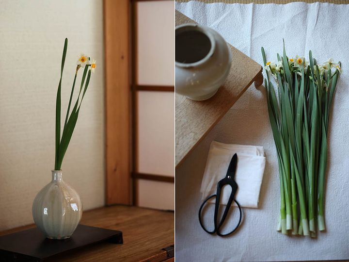 スイセンを活ける