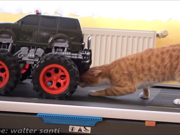 あふれる好奇心！