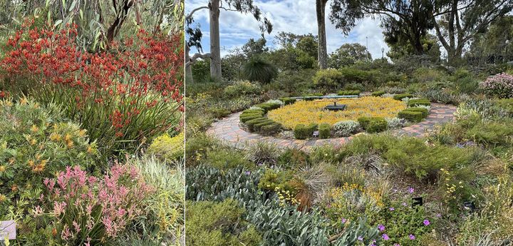 右はワイルドフラワーの花時計