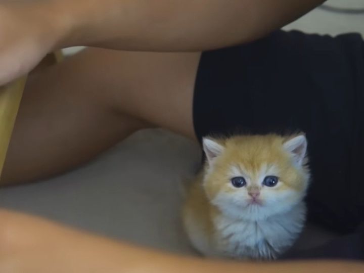 えっ…かわいすぎない…？