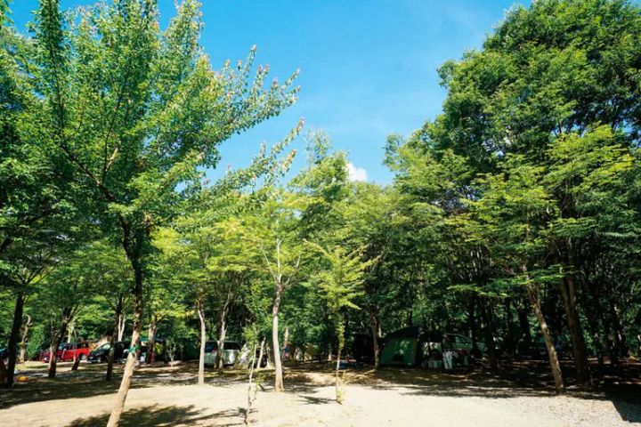 冬キャンプに安心！給湯設備のあるおすすめキャンプ場6選【埼玉県】