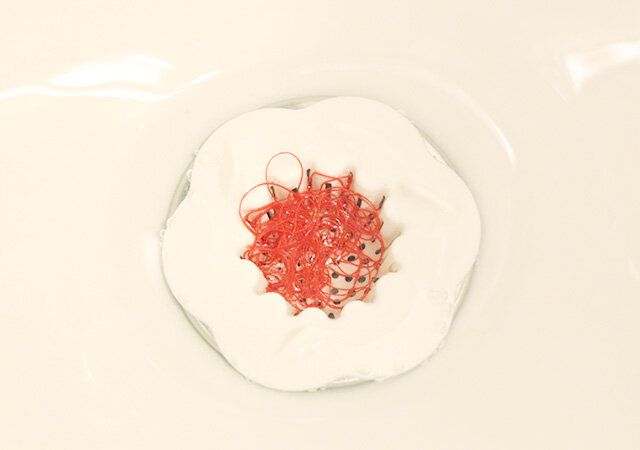 ダイソーのくるくる＆ウェーブ洗面台ゴミガード（流水王子、4個）5