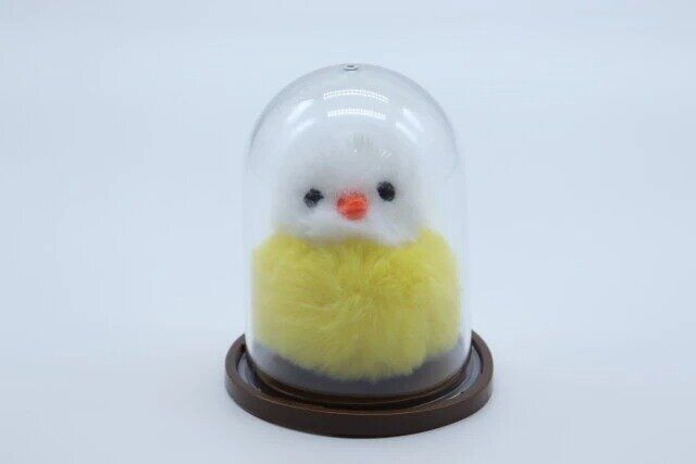 ダイソーの可愛いディスプレイドーム M