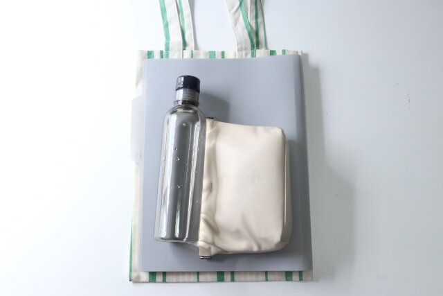 セリアのサブバッグにしたいトートバッグ ストライプ柄