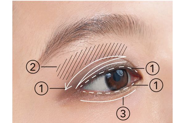 ブラシに（1）を取り、上まぶたのキワから二重幅に向かって淡くラフにぼかす。（1）を塗った部分の境目に（2）を重ねて透明感をプラス。涙袋に（3）を入れる。細いブラシで上下のまつげの隙間に（1）を点置きして少しフレームを強調。