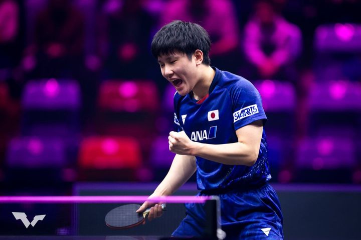 張本智和（C）WTT