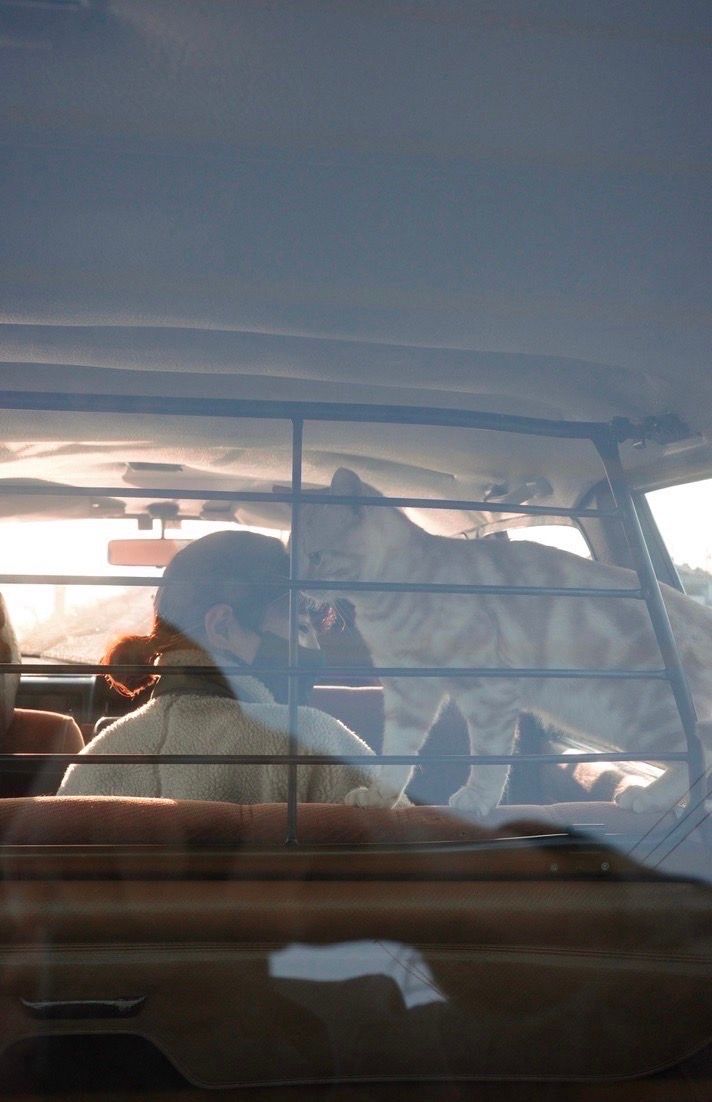 お洒落な人が乗っている車といえば。安全性を兼ね備えたクラシックカー《VOLVO》240【マイカーと一緒にどこまでも。vol.5】