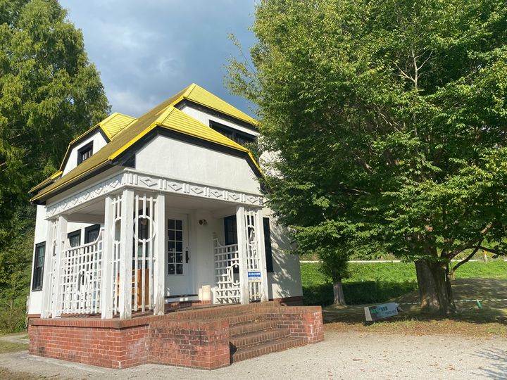 黄色と白が緑に映え、フォトジェニック