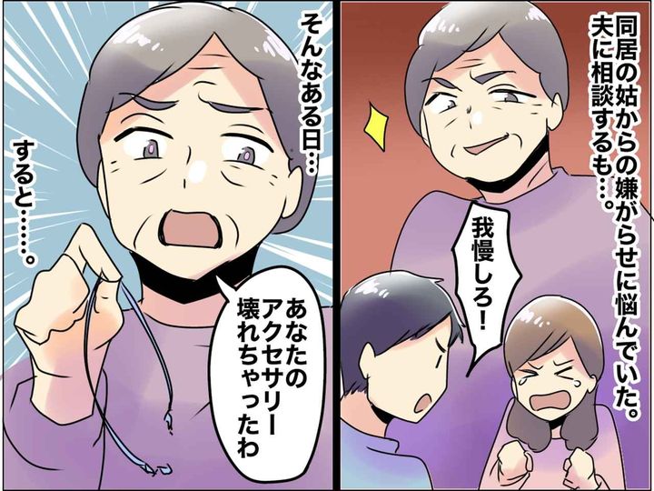 画像: 「いい加減にしろ！」嫁の大切なアクセを破壊し、黙って捨てようとした【鬼姑】にブチ切れた瞬間
