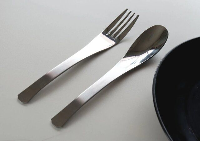 ダイソー ステンレススプーン ステンレスフォーク