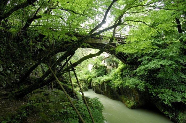 こおろぎ橋周辺