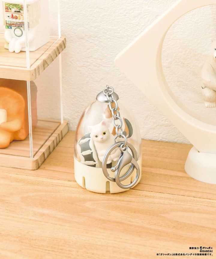 画像2: 出典：3COINS