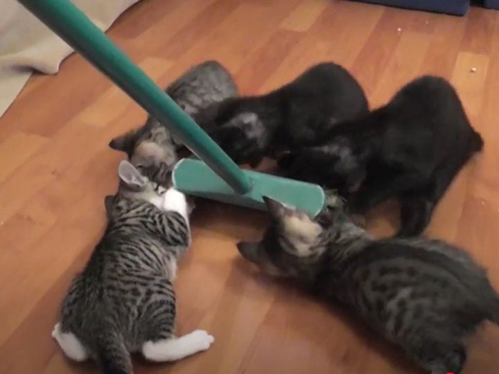 掃除しようとしたら…この状態である