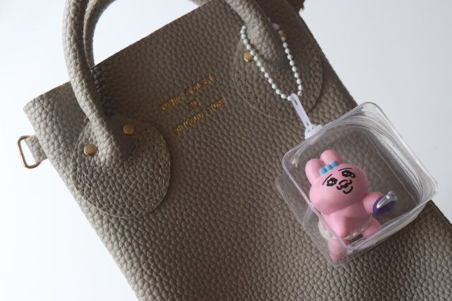 セリア ぷちっとマスコットポーチ（キューブ型） 使用例