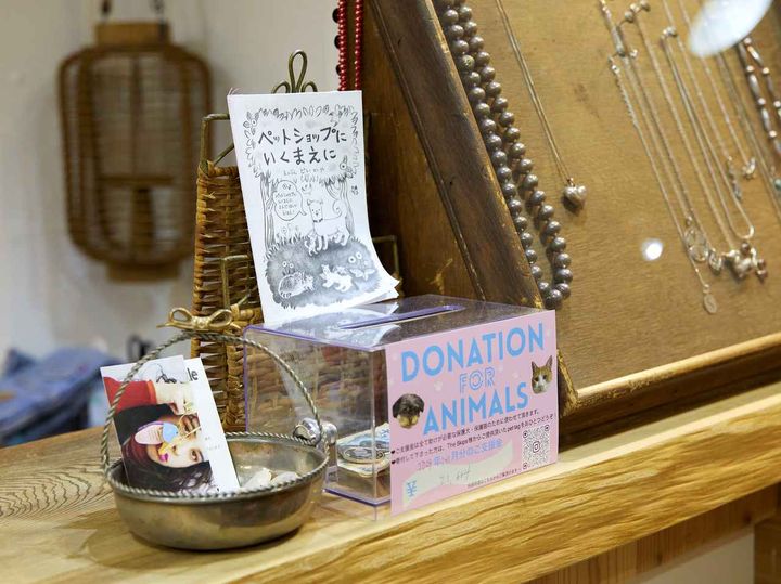 画像: レジ横の募金コーナー。保護犬＆猫を推奨する冊子は絵本作家のどいかやさんが制作しているものを印刷。