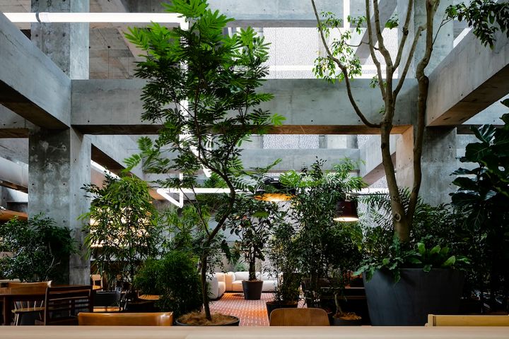 白井屋ザ・ラウンジ