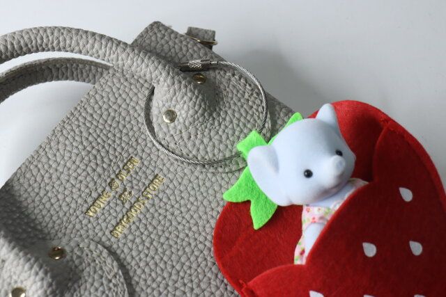 ダイソー ネジ式キーリング 使用例