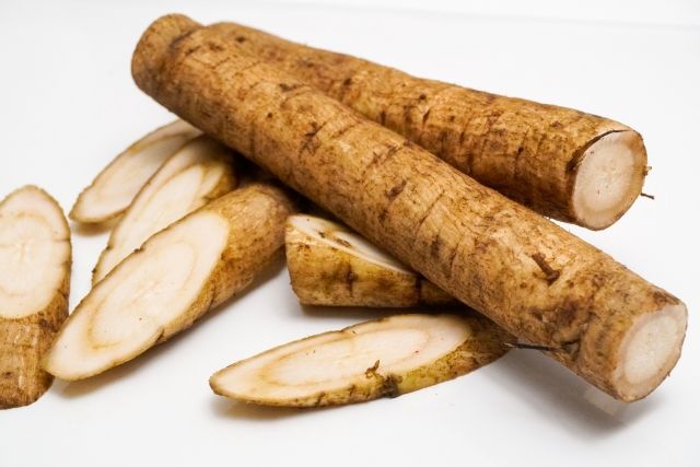 ごぼう 白背景 根菜