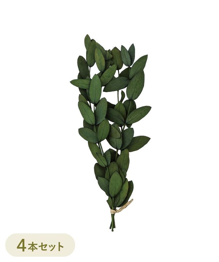 画像4: 出典：3COINS