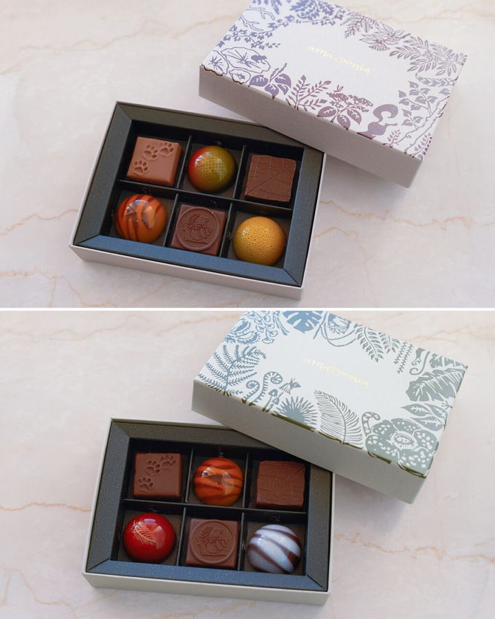 【amazoonia】森林BOXボンボンショコラ&アマゾンBOXボンボンショコラ