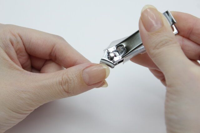 斜め刃爪切り 使用例
