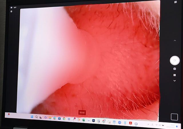 ダイソーの耳かきカメラの映像