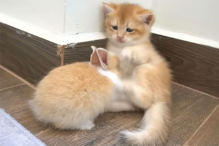 あまりにかわいすぎて尊い…名シーンとは？