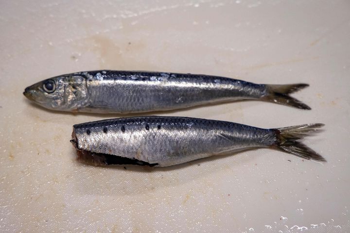 腹の中を水で洗う