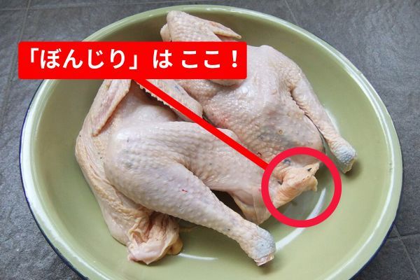 丸鶏を見るとよくわかる「ぼんじり」。体と比較して尾が短いのがよくわかる