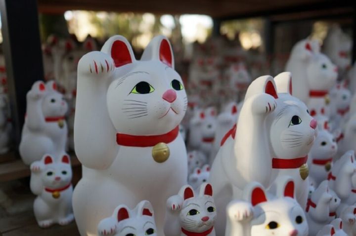 幸運の予兆を診断する心理テスト 招き猫