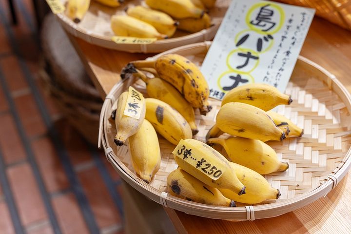 小ぶりの島バナナは1本から購入可