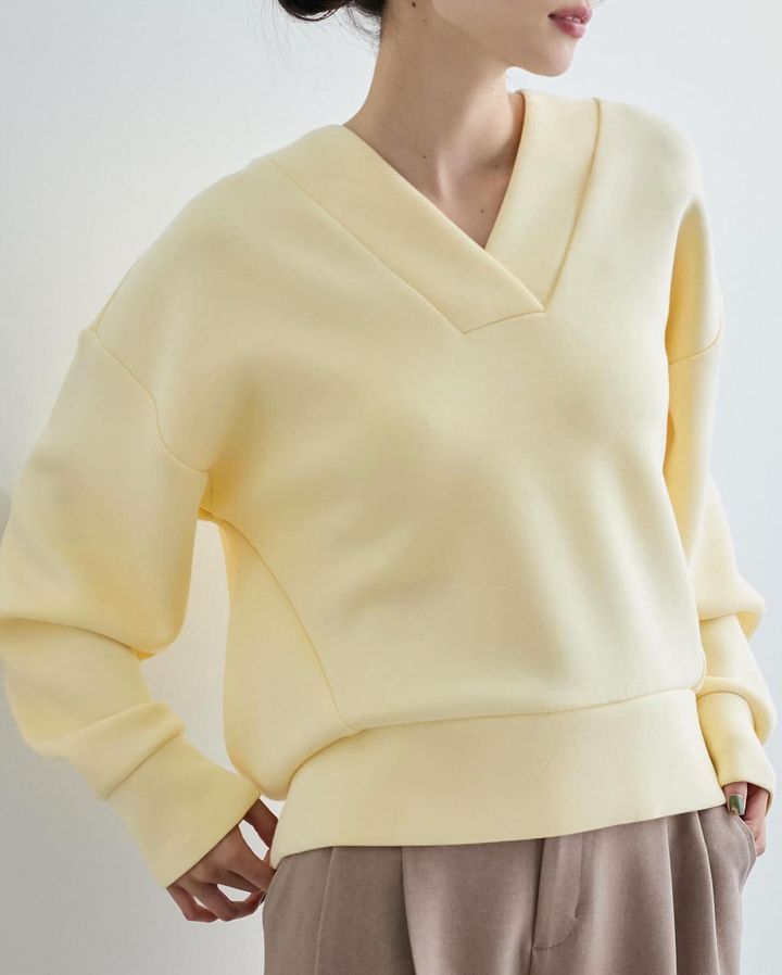 画像4: 出典：VIS