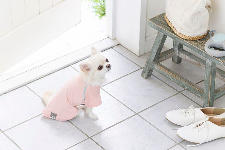 花粉対策カットソー（ピンク、ミントグリーン、ベージュ、モスグリーン、オレンジ）SS、S、M、L、SD、MD ￥1,780、2L、3L ￥2,280、4L～7L ￥2,780（カラーによりサイズ展開は異なる）