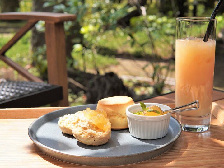 【ZIP!で紹介】電車でふらり♪ 週末に行きたい、都内発日帰り旅におすすめのエリア5選