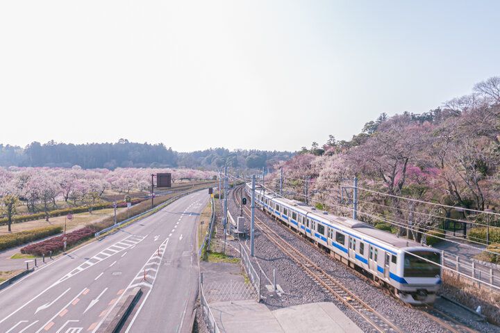 【ZIP!で紹介】電車でふらり♪ 週末に行きたい、都内発日帰り旅におすすめのエリア5選