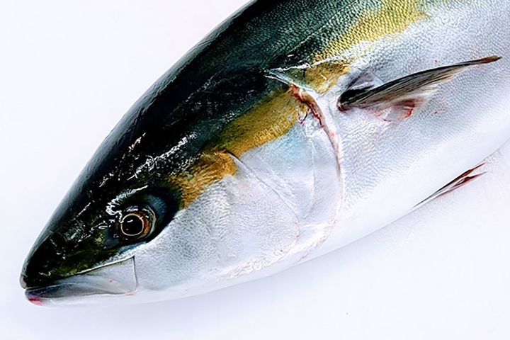 「ブリ」の呼び名、いくつ知ってる？