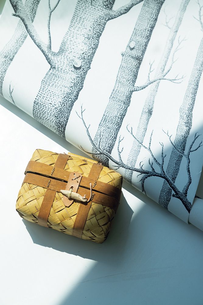 森にも、街にも。フィンランドに根付くマザーツリー・白樺のひみつ【北欧の伝統と生活】