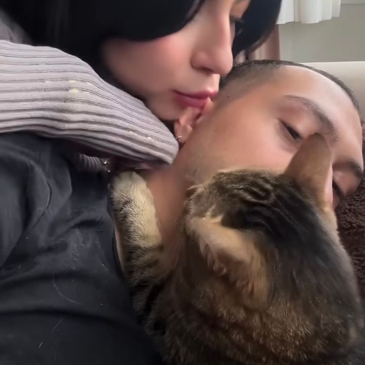 飼い主と仲よく添い寝する猫、母は許すが彼女は許さず