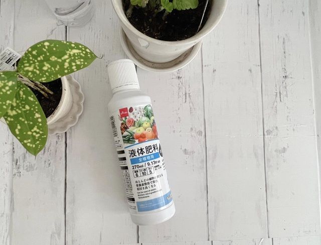 ダイソー 液体肥料 全植物用 原液