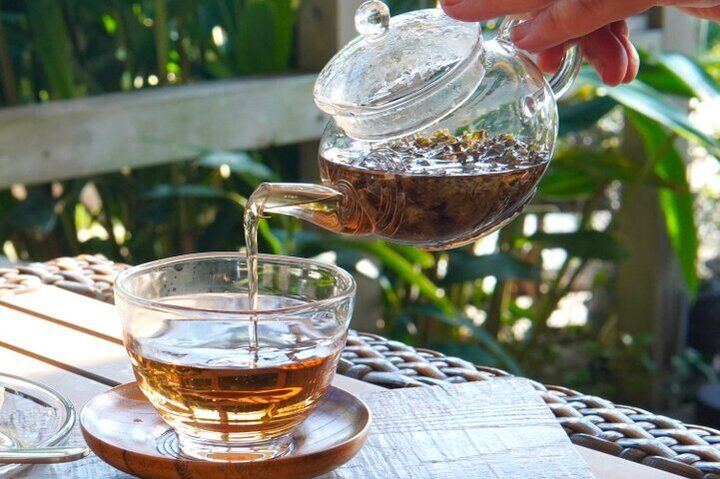 のどかな陽ざしがふりそそぐ早春の海辺の街さんぽ♪逗子葉山で古民家カフェをめぐり