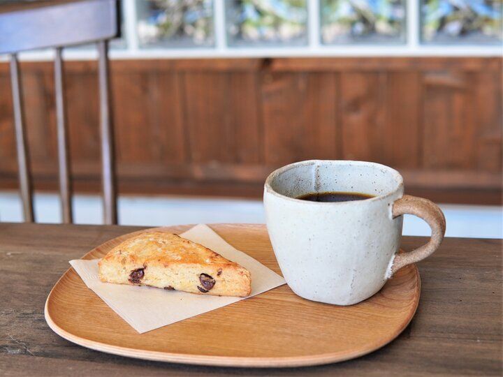 のどかな陽ざしがふりそそぐ早春の海辺の街さんぽ♪逗子葉山で古民家カフェをめぐり