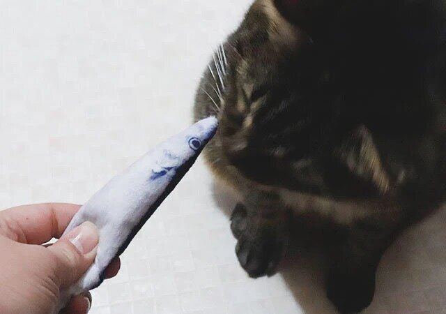 ダイソー またたび入り パリパリ