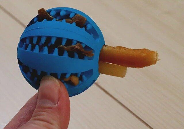 ダイソー 天然ゴム とげとげ